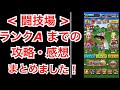 星ドラ 実況 闘技場 「基本から、育成、仲間選び、ランクAまでの道のりをざっくり解説」