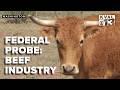 DOJ Expands Investigation Into U.S. Beef Industry Practices