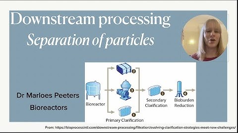 Downstream processing: separation of particles via filtration, centrifugation,  and flocculation