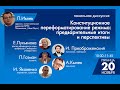 Конституционное переформатирование режима: предварительные итоги и перспективы