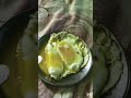 day 11 #motivation #viralvideo #allindia