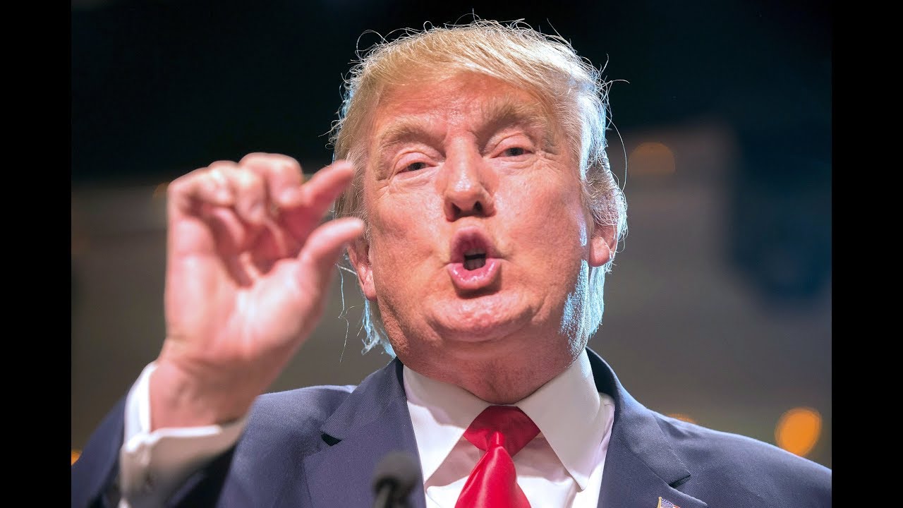 Funniest Roast Of Donald Trump (VINES) - YouTube