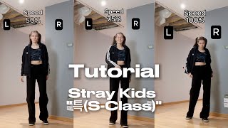 Mirrored Tutorial Stray Kids 특 S-Class Juku