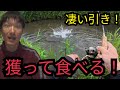 近くの川で釣りしたり獲って食べたり🤤