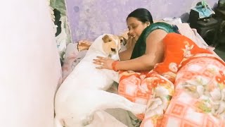 सबसकरइबर अनरध वडयआज डमर न क मर सथ फल मसतरजई क एडरदमर क आय बहत मज