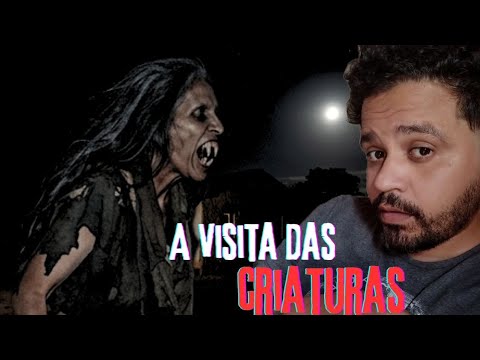 AS DUAS CRIATURAS QUE VIERAM ATÉ MINHA CASA.