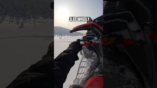 Не будь бабкой - катай на пятке. Sled wheely #offroad #snow #sledders #snowmobile