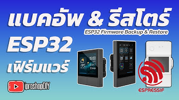 ⚡ ESP32 Firmware Backup & Restore
