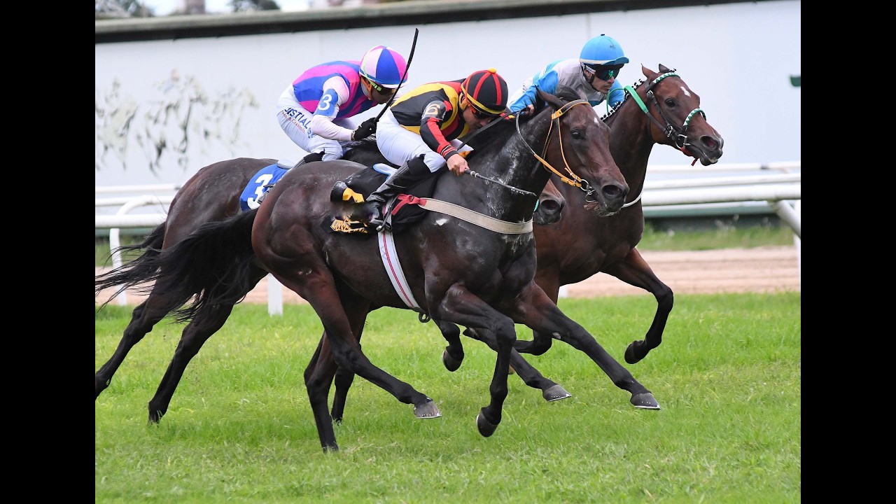 Clásico Olavarría (G3) 2026 - Lissette Island (Lizard Island)