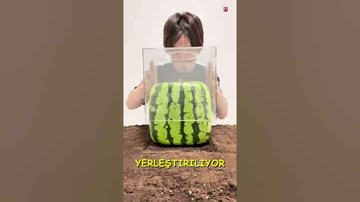 88 000 Yenlik Kare Karpuzlar! 🍉