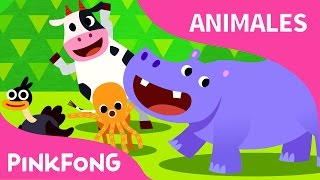 Muévete Como los Animales | Animales | PINKFONG Canciones Infantiles