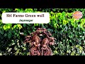 SBL Farms Vertical Garden Installing A Green Wall Mp3 Song