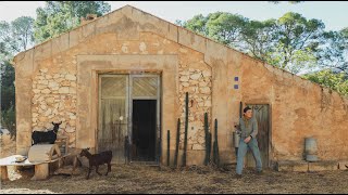 Entre cabras, pollitos y la cocina de leña - Días de fríos de otoño en la finca