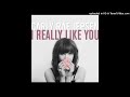 Carly Rae Jepsen I Really Like You Official Acapella