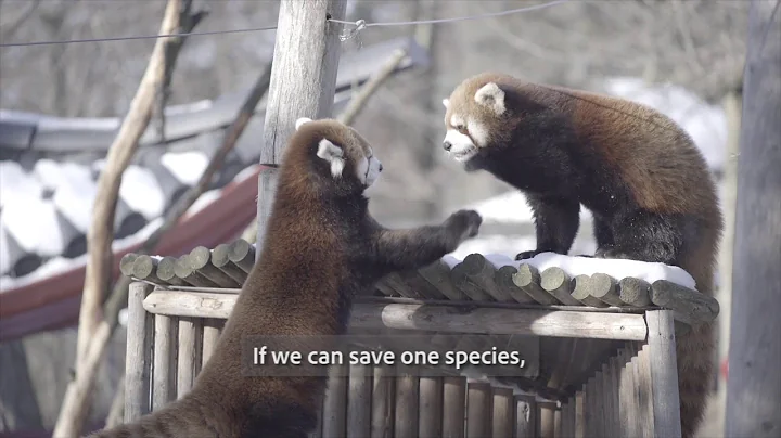 AZA Heroes: A Critical Mission