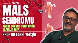 Mals Sendromu Sürekli Karın Ağrısının Nadir Ama Önemli Nedeni Prof. Dr. Fahri Yetişir