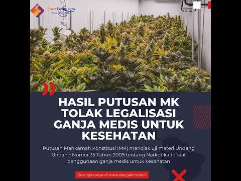 Hasil Putusan MK Tolak Legalisasi Ganja Medis
