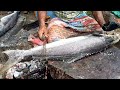 10 kg kadal viral Meen/Fish Cutting/Kasimedu Fish Market/Roadside Foodz