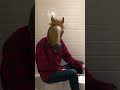 "Locked Out Of Heaven" but it's played on a bucket by a man-horse in a shower
