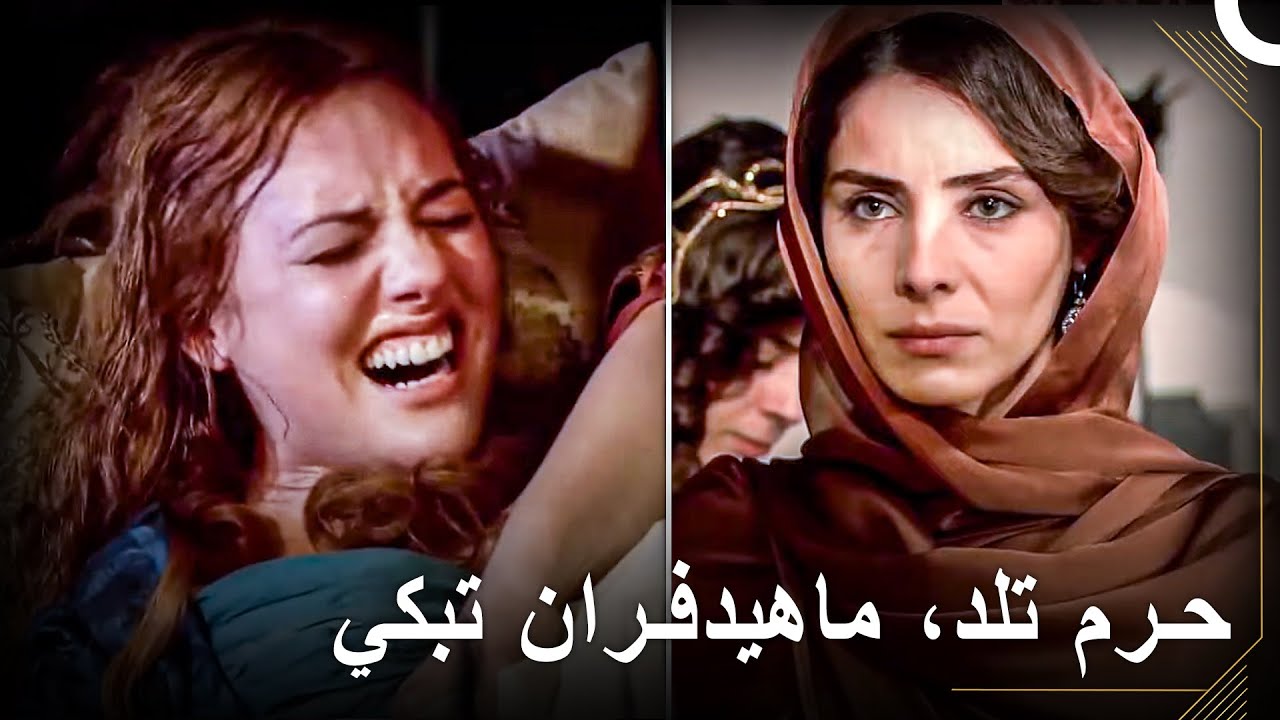 لولاي لما رأت ماهفيدوران وجه الأمير