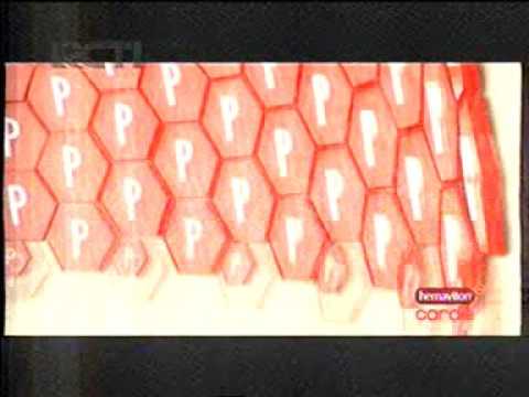 RCTI 3006 Hemaviton Cardio Kuliner 23 46