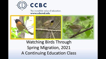 Watching Birds through Migration: Spring 2023. Baltimore, MD area  Class info in video description.