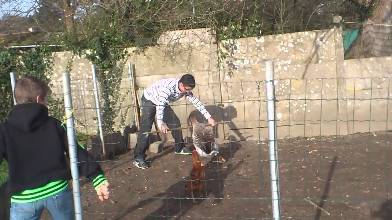 Combat avec jean michel ! Le jar !