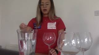 DIY Project: Singing Wine Glass Experiment