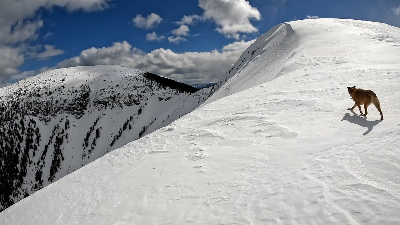 Viking Ridge all of the ridges | April 2023 | Northern BC - YouTube