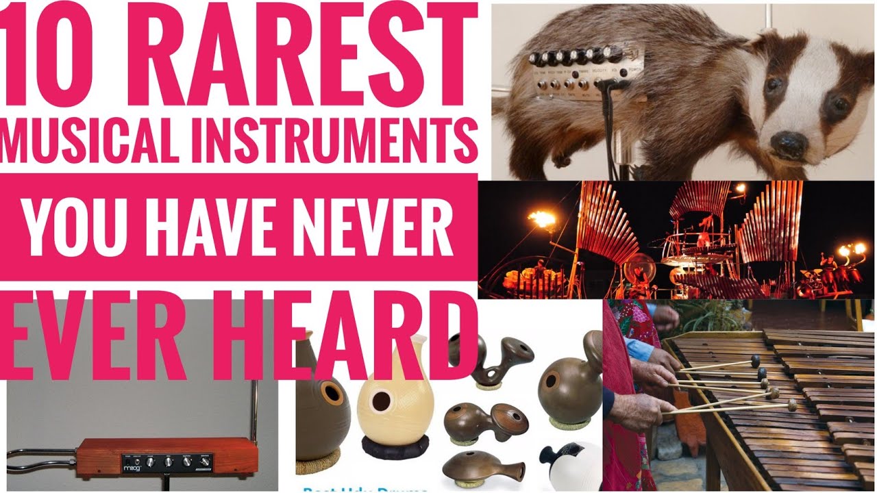 10 Rarest Musical Instruments which you never ever heard about||Tips at ...