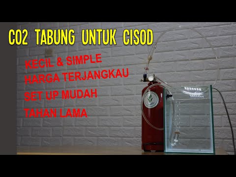 Video: Berapa lama generator co2 buatan sendiri bertahan?