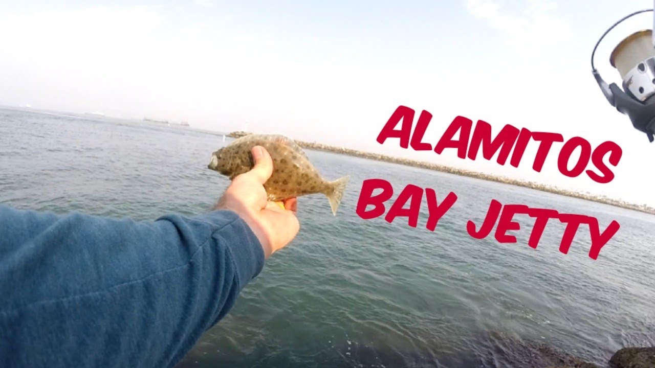 Alamitos Bay Jetty Fishing YouTube
