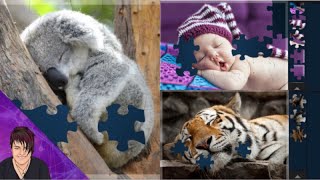 Sleeping Cuties - Magic Jigsaw Puzzles Rosie Rayne