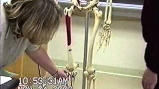 A&P Muscles & Movement Clip 2.avi