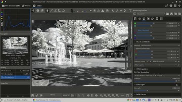 PictureFX Faux Infrared B&W  - Haldclut/Lut for Rawtherapee, Darktable, or other compatible software