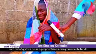 #Em_Katembe Rato mata 5 gatos e deixa o proprietário da casa gravemente ferido