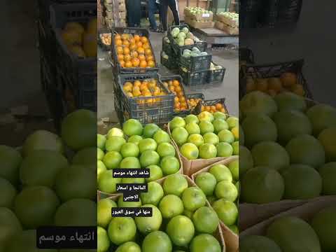 الفاكهة