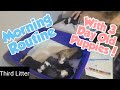 Morning Routine With 3 Day Old Puppies!
