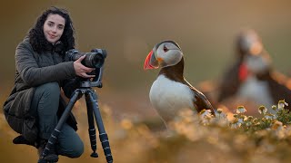 Puffins: Wildlife Photography on Skomer Island Vlog
