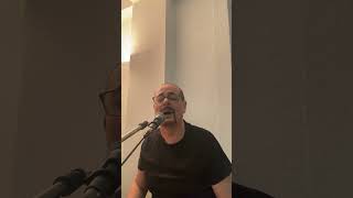 Птицо бела (cover) Павле Витанов