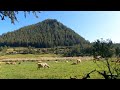 Cajamarca Perú 🇵🇪🚙🎼 tierra linda donde se encuentra Porcón 😍