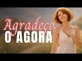 AGRADEÇO O AGORA, O ONTEM E O DEPOIS | Mantra de GRATIDÃO #leidaatração
