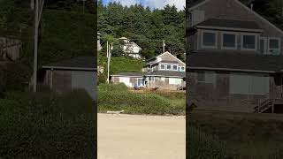 Elk in Cannon Beach