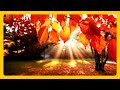 Beautiful Autumn Scenery Colors of Nature🍁Fall Leaf Colors &amp; RELAXING MUSIC HD 1080P Screensaver