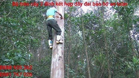 Test thử dụng cụ hỗ trợ trèo cây + dây đai bảo hộ cực kì an toàn