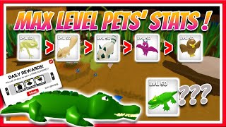 Max Level Pets' Stats 🦉| Swamp Eggs🥚 and More! - Little World 🌏 (Roblox)