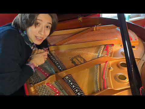 Video: Hat Klavier Saiten?
