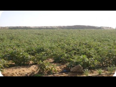 أين وادى النطرون