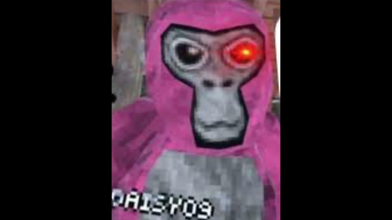 gorilla-tag-ghosts-part-3-daisy09-youtube