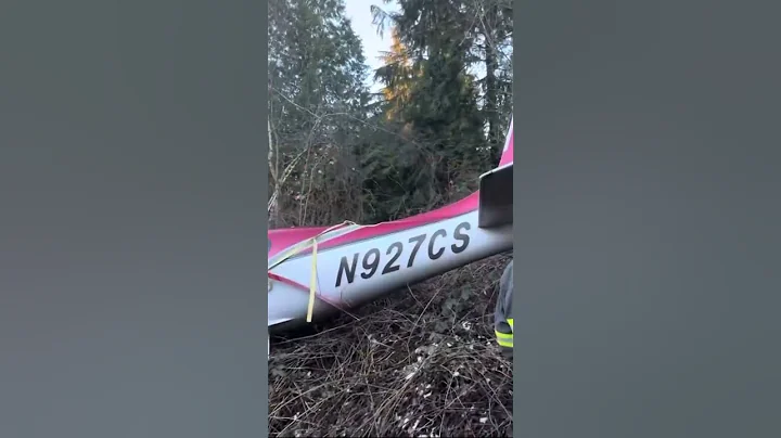 Plane crashes in Washington after parachute deploys saving 2 passengers